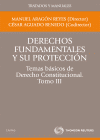 DERECHOS FUNDAMENTALES Y SU PROTECCION TOMO III